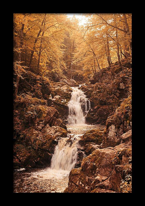 Spring Waterfall Flowing Through Autumn