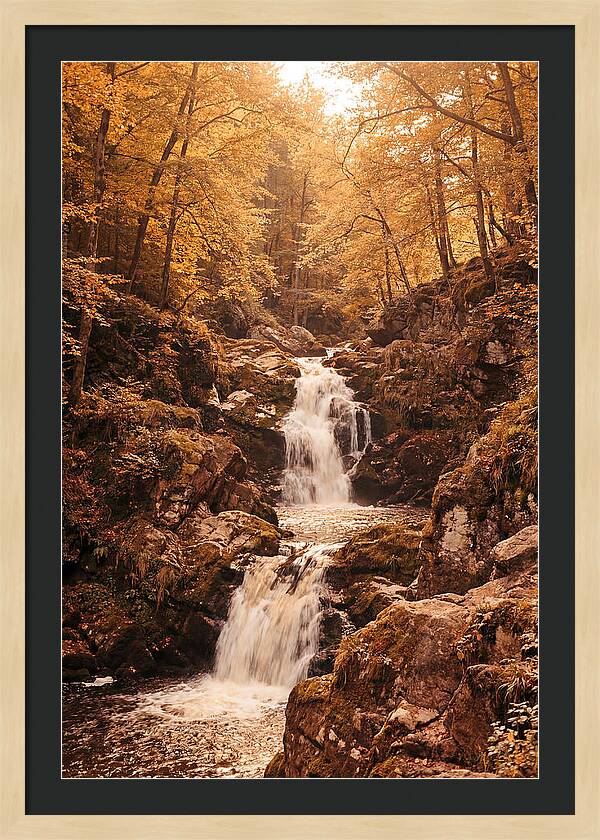 Spring Waterfall Flowing Through Autumn