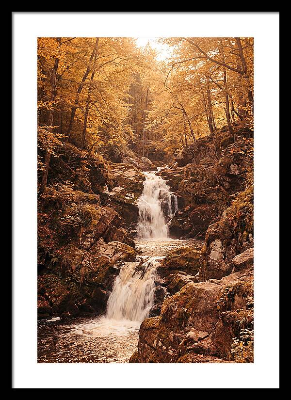 Spring Waterfall Flowing Through Autumn
