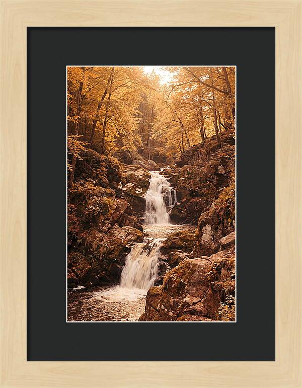 Spring Waterfall Flowing Through Autumn