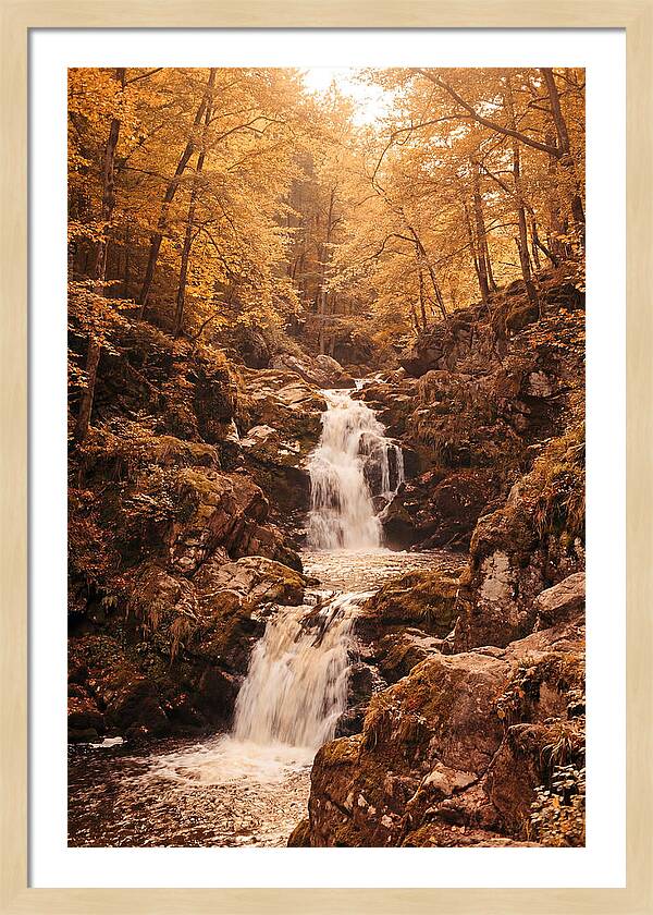 Spring Waterfall Flowing Through Autumn