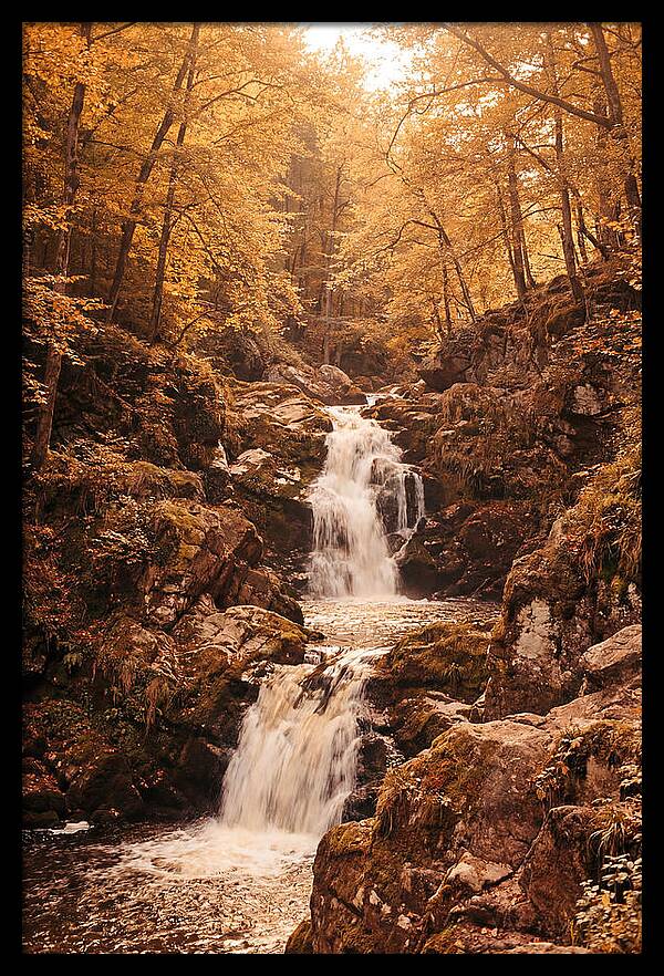 Spring Waterfall Flowing Through Autumn
