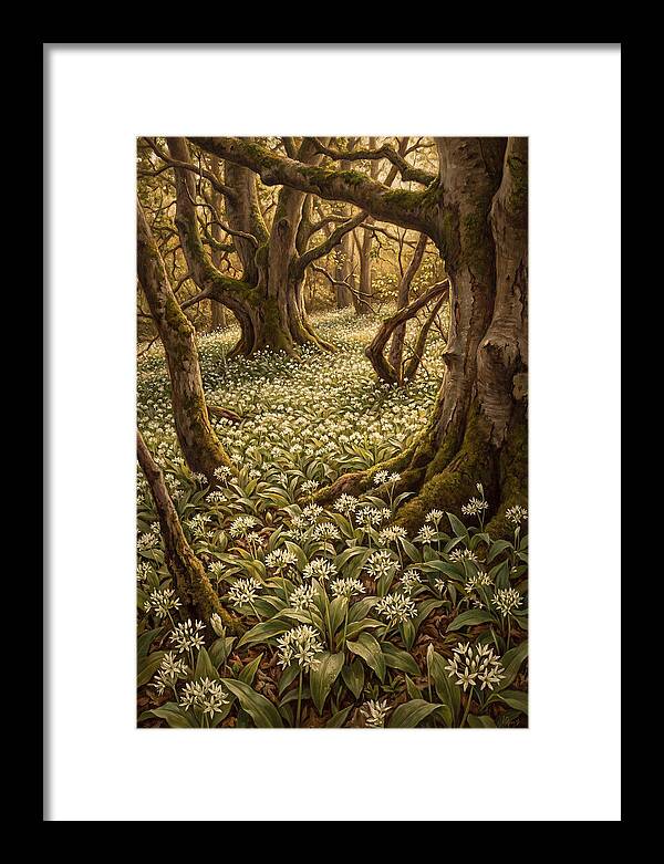 Spring Wild Garlic Bloom