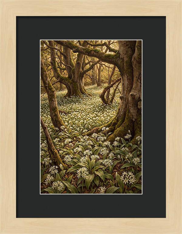 Spring Wild Garlic Bloom