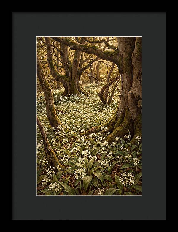 Spring Wild Garlic Bloom