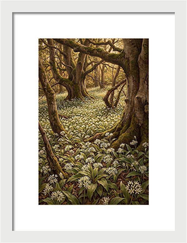 Spring Wild Garlic Bloom
