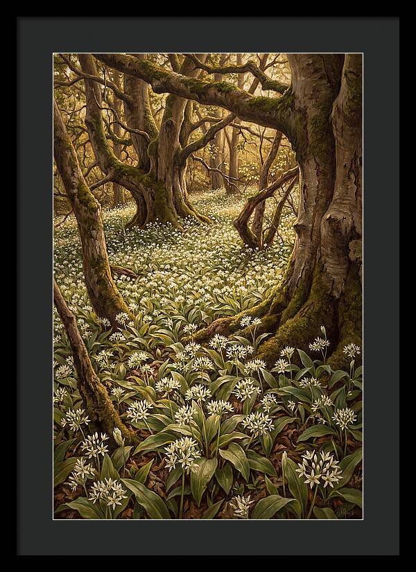 Spring Wild Garlic Bloom