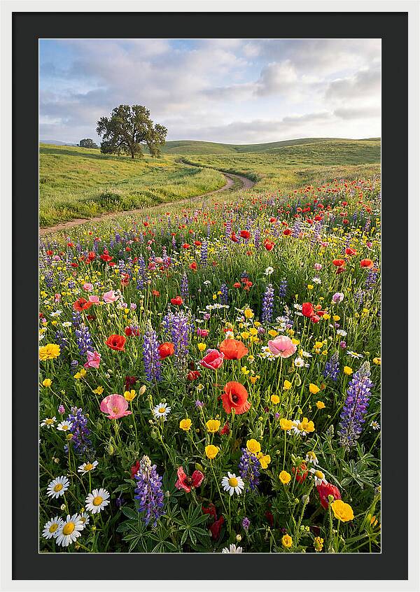 Spring Wildflowers In Bloom