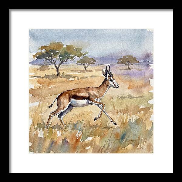 Springbok In Motion