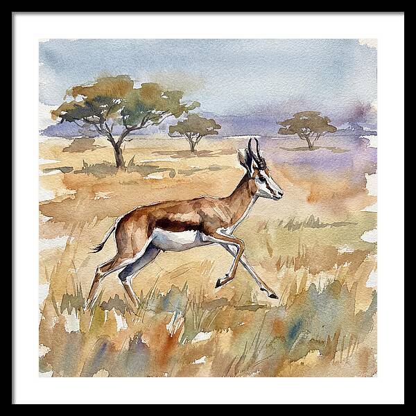 Springbok In Motion