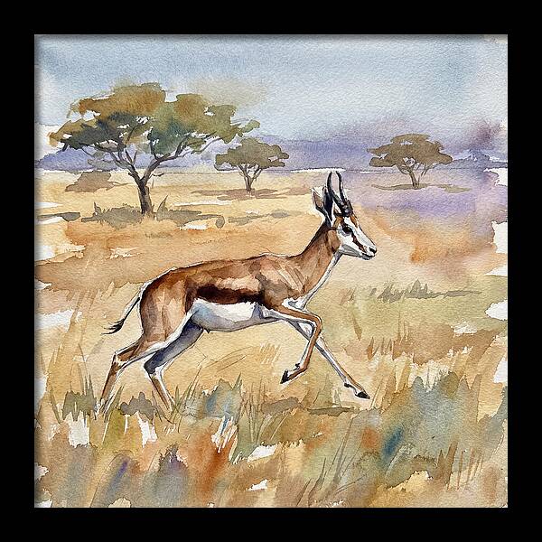Springbok In Motion