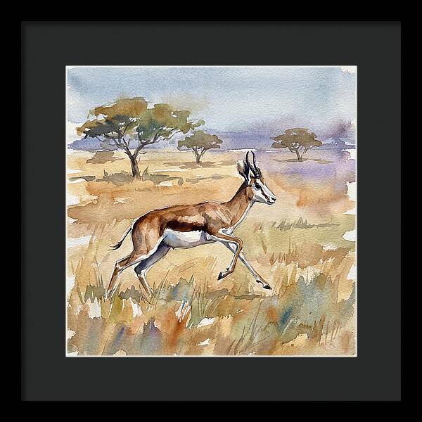Springbok In Motion
