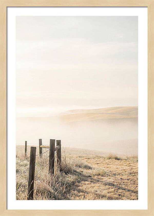 Springtime Serenity Over Palouse Hills