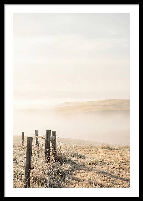 Springtime Serenity Over Palouse Hills