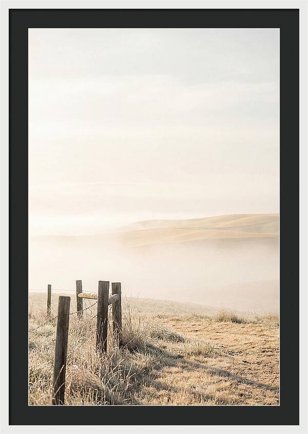 Springtime Serenity Over Palouse Hills