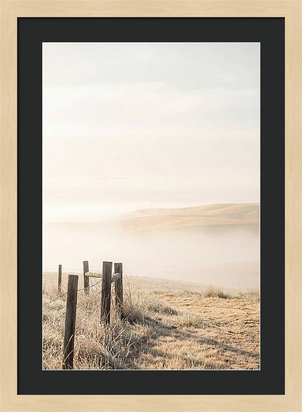 Springtime Serenity Over Palouse Hills