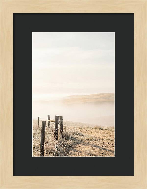 Springtime Serenity Over Palouse Hills