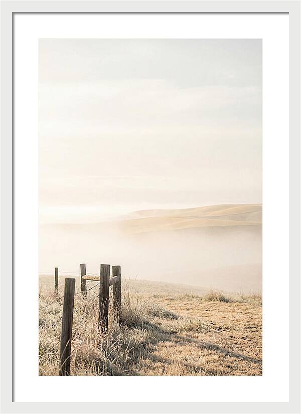 Springtime Serenity Over Palouse Hills