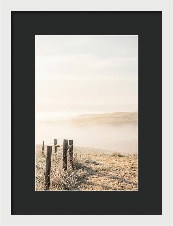 Springtime Serenity Over Palouse Hills