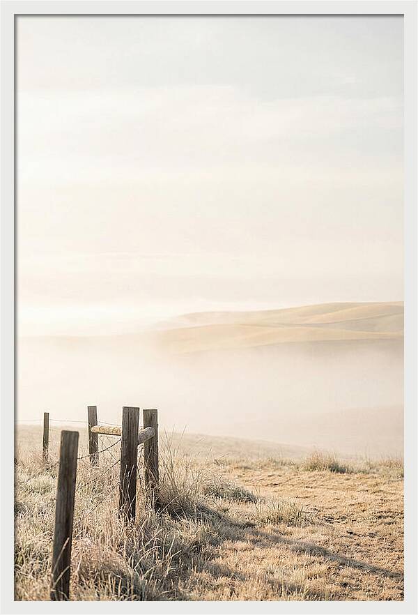 Springtime Serenity Over Palouse Hills