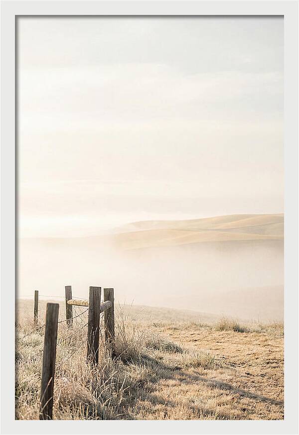 Springtime Serenity Over Palouse Hills