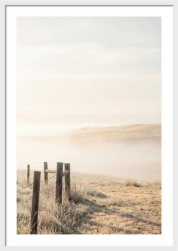 Springtime Serenity Over Palouse Hills
