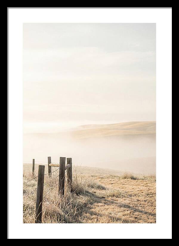 Springtime Serenity Over Palouse Hills