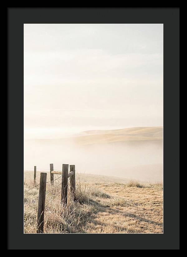 Springtime Serenity Over Palouse Hills