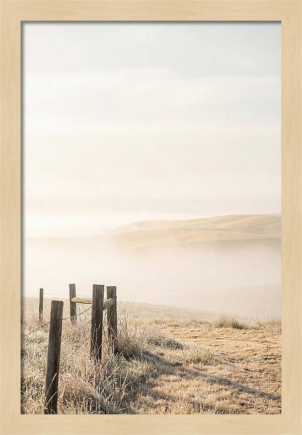 Springtime Serenity Over Palouse Hills