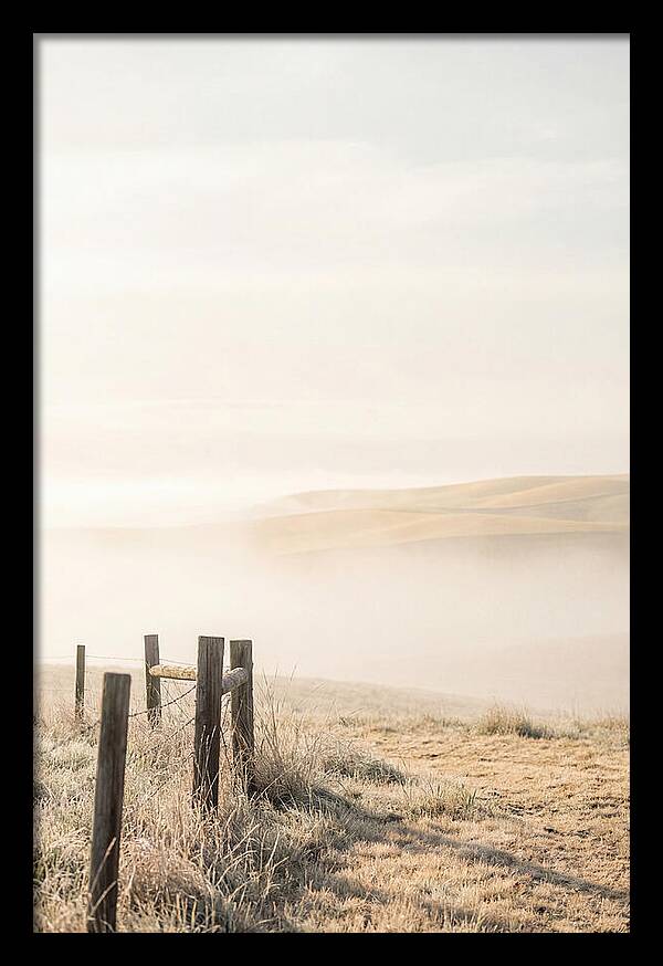 Springtime Serenity Over Palouse Hills