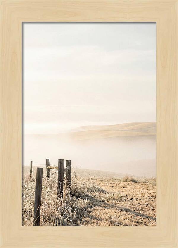 Springtime Serenity Over Palouse Hills