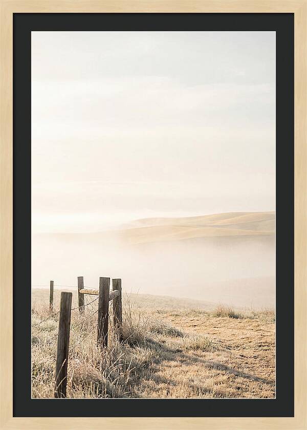 Springtime Serenity Over Palouse Hills