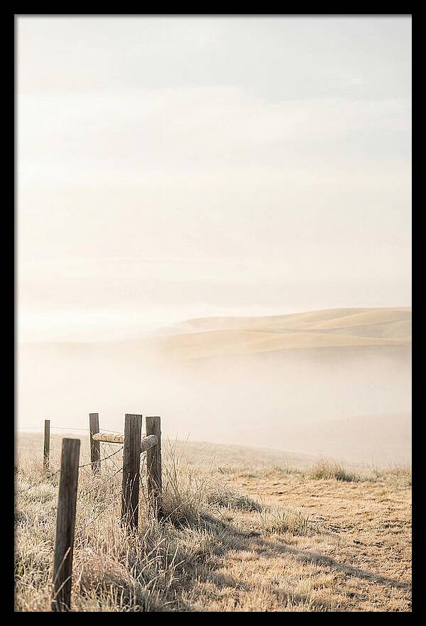 Springtime Serenity Over Palouse Hills