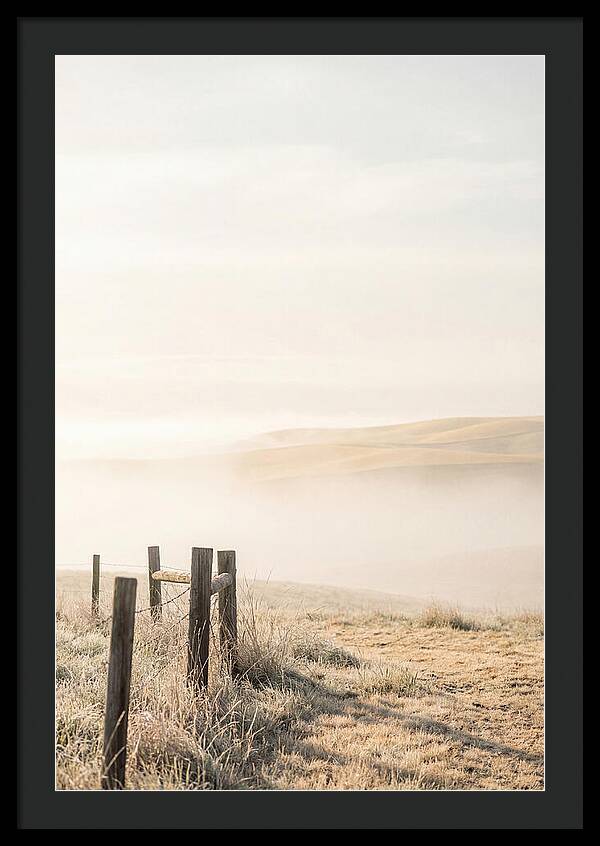 Springtime Serenity Over Palouse Hills