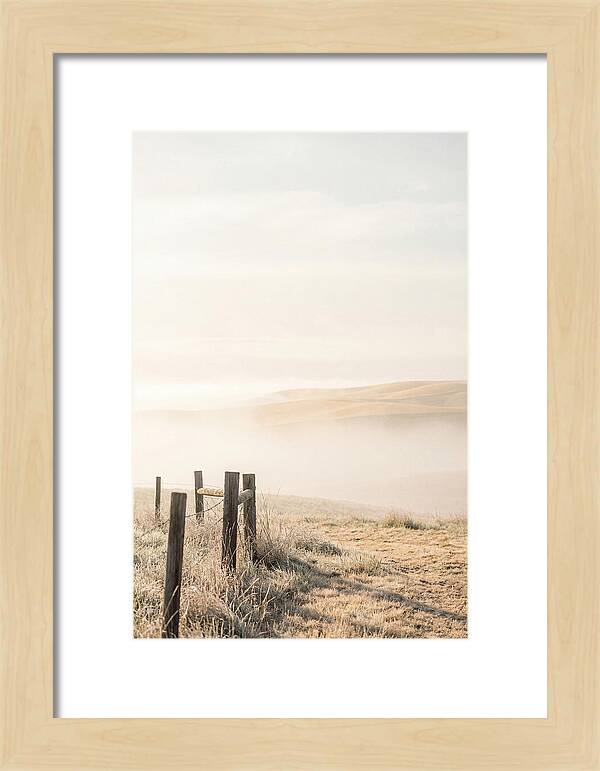Springtime Serenity Over Palouse Hills