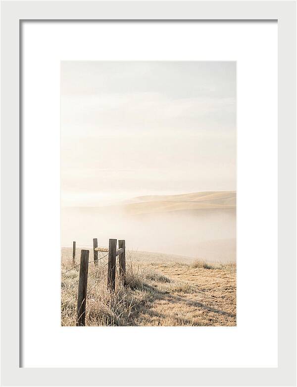 Springtime Serenity Over Palouse Hills