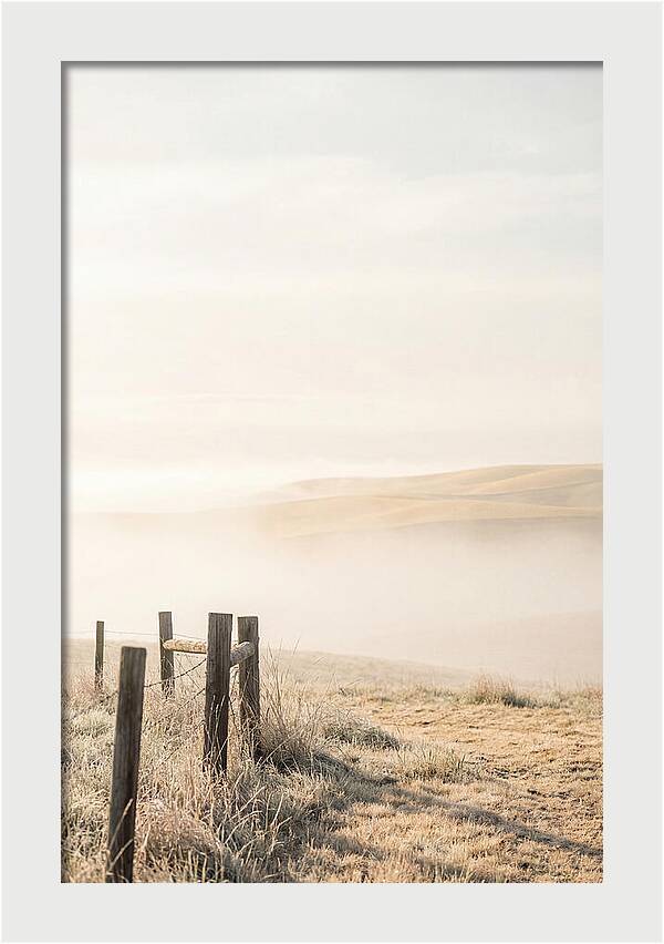 Springtime Serenity Over Palouse Hills
