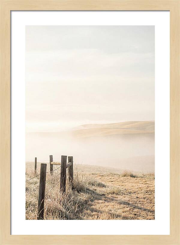 Springtime Serenity Over Palouse Hills