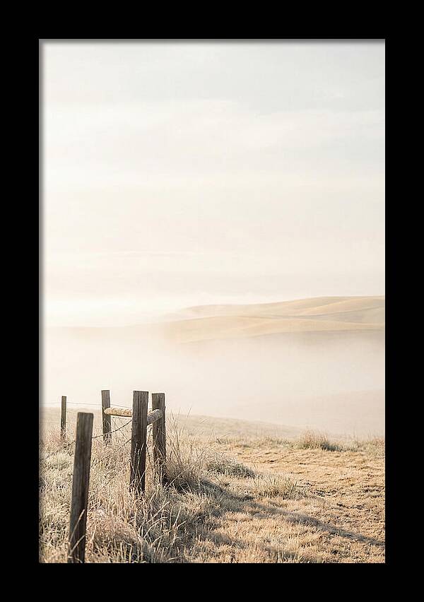 Springtime Serenity Over Palouse Hills