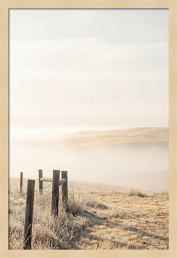 Springtime Serenity Over Palouse Hills
