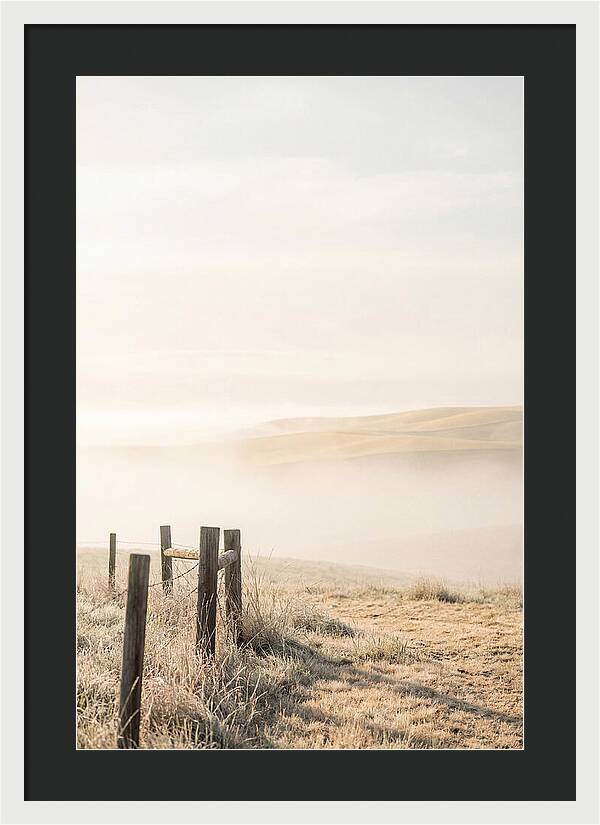 Springtime Serenity Over Palouse Hills