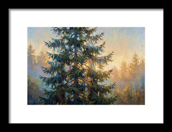 Spruce Tree At Dusk