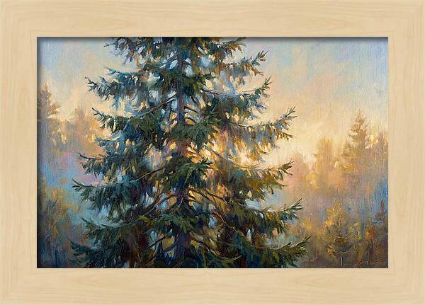 Spruce Tree At Dusk