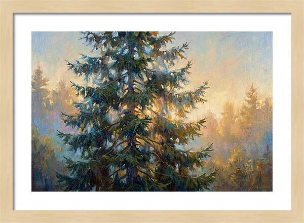 Spruce Tree At Dusk