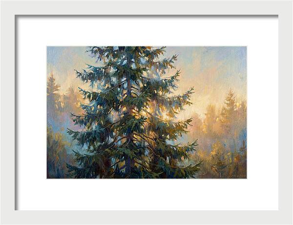 Spruce Tree At Dusk