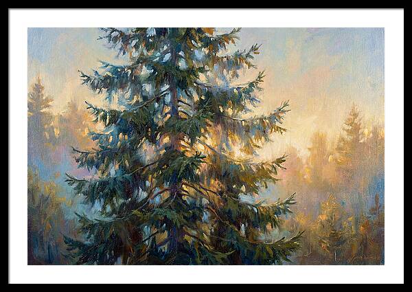 Spruce Tree At Dusk