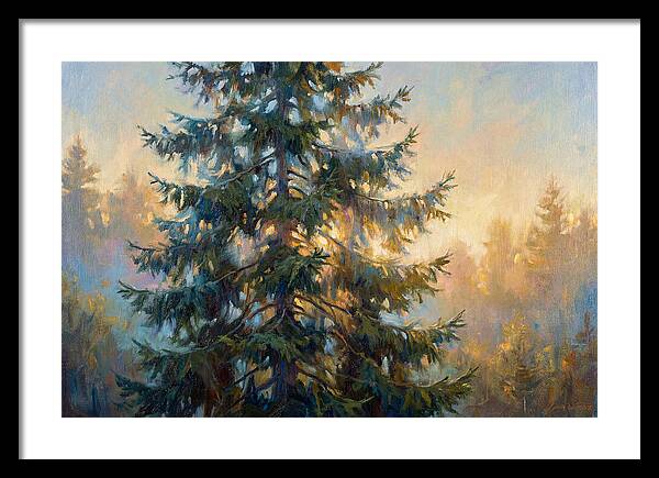 Spruce Tree At Dusk