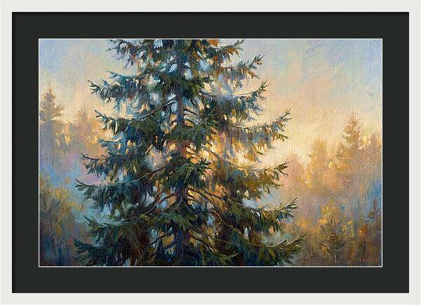 Spruce Tree At Dusk