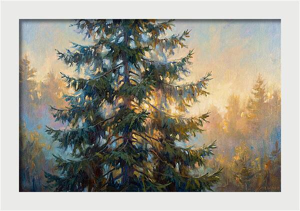 Spruce Tree At Dusk