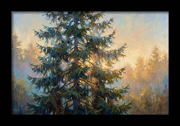 Spruce Tree At Dusk